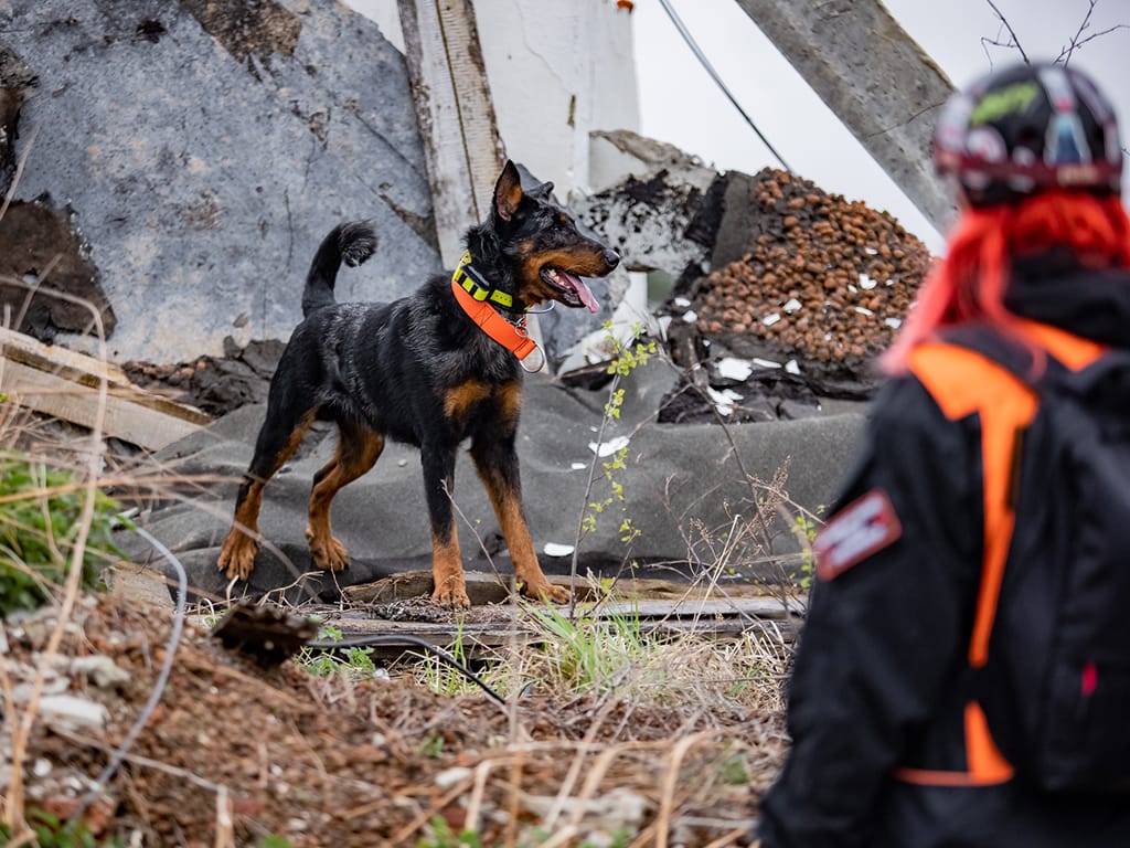 як працуюць выратавальнікі ў беларусі, выратавальнікі ў беларусі, анёл у беларусі