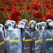 Паляць, косяць, зарываюць. Як і навошта беларускія сілавікі змагаюцца з макам