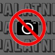 Вырошчваць грыбы і гандляваць на вуліцы. Што нельга рабіць у Беларусі, каб не атрымаць штраф