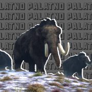 Знайшлі шкілет і засыпалі яго зямлёй. Як у Беларусі сотні гадоў знаходзілі мамантаў