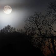 Вампіры, прывіды, шкілеты і крывавыя дрэвы: расказваем пра містычныя месцы ў Беларусі