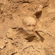 Ад ахвяр Халакосту да пахаванняў кальвіністаў. Сотні шкілетаў знайшлі на будоўлі ў Дзяржынску