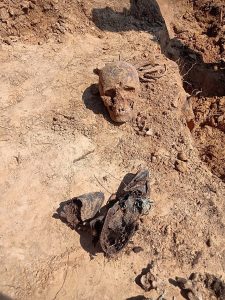 парэшткі ў Дзяржынску, шкілеты ў дзяржынску