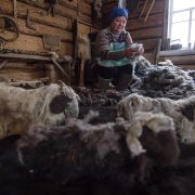 Чмурак, мармысь, хавбы і саслаўкі. Расказваем пра катрушніцкі лемезень — таемную мову з Дрыбіна