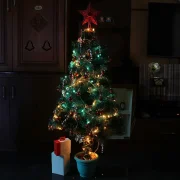 Пяць дурных пытанняў пра навагоднюю ёлку