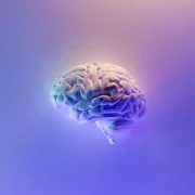 Ці можа чалавечы мозг перабудаваць сябе