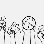 Як кітайскія інвестыцыі ўплываюць на беларускую экалогію