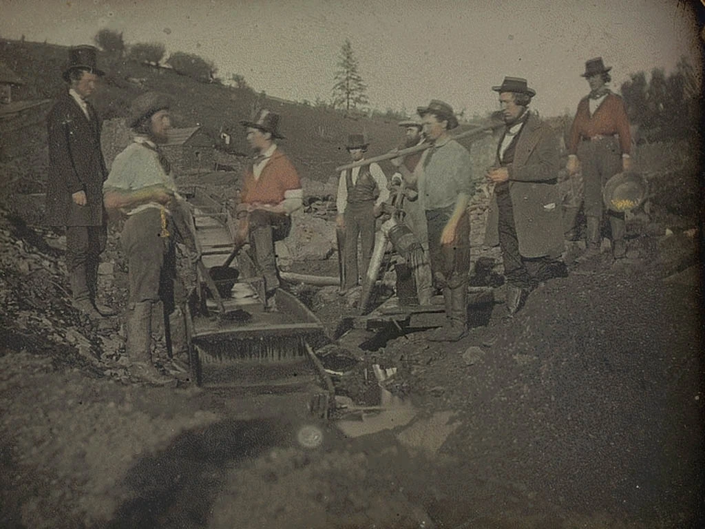 залатая ліхаманка, майнеры