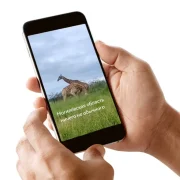 Вы ведалі, што Магілёўская вобласць цяпер мем? Вось чаму