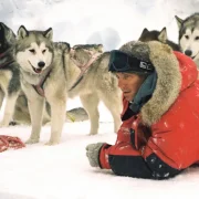 Дзесяць фільмаў пра коцікаў і сабак, якія падымуць настрой