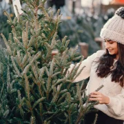 Як абраць экалагічную ёлку?