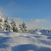 Чаму колькасць дзён у лютым змяняецца?