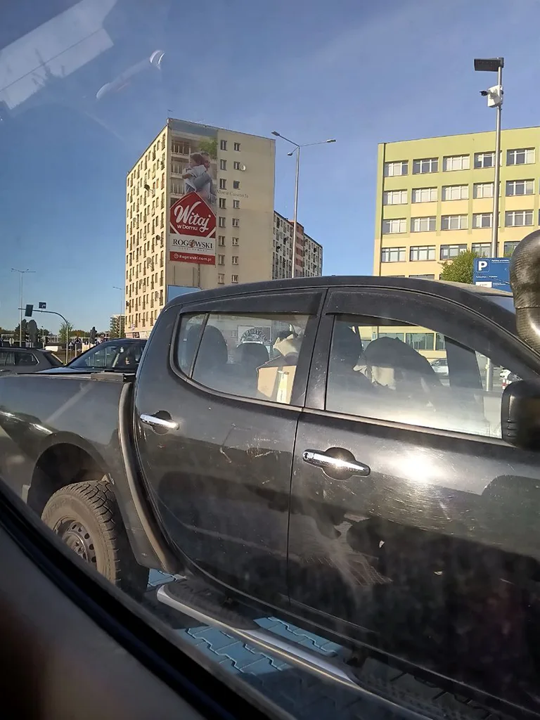 беларусь і ўкраіна, беларускі ва ўкраіне, гуманітарная дапамога ва ўкраіну