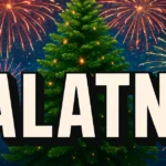 25 найлепшых тэкстаў PALATNO за 2025 год