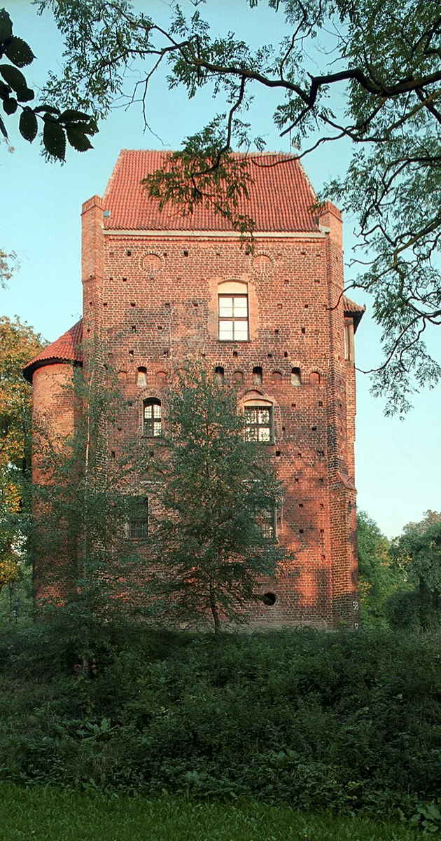 Вежа ў Шаматулах, Эльжбэта Астрожская